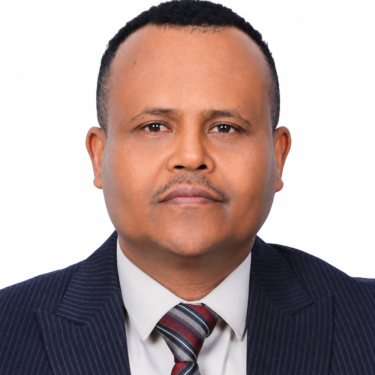 Speaker Fikru Tsegaye Wordofa